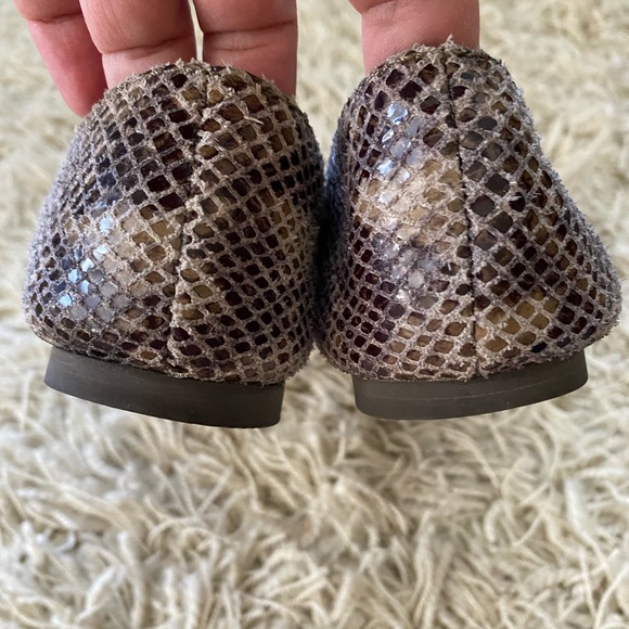 Fossil Snake Reptile Print with Silver Buckles Slip-Ons Flats Women’s Size 5.5 - Picture 3 of 10
